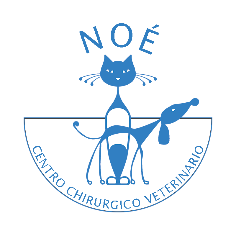 logo_centro_chirurgico_veterinario_noe Logo Centro Chirurgico Veterinario Noé
