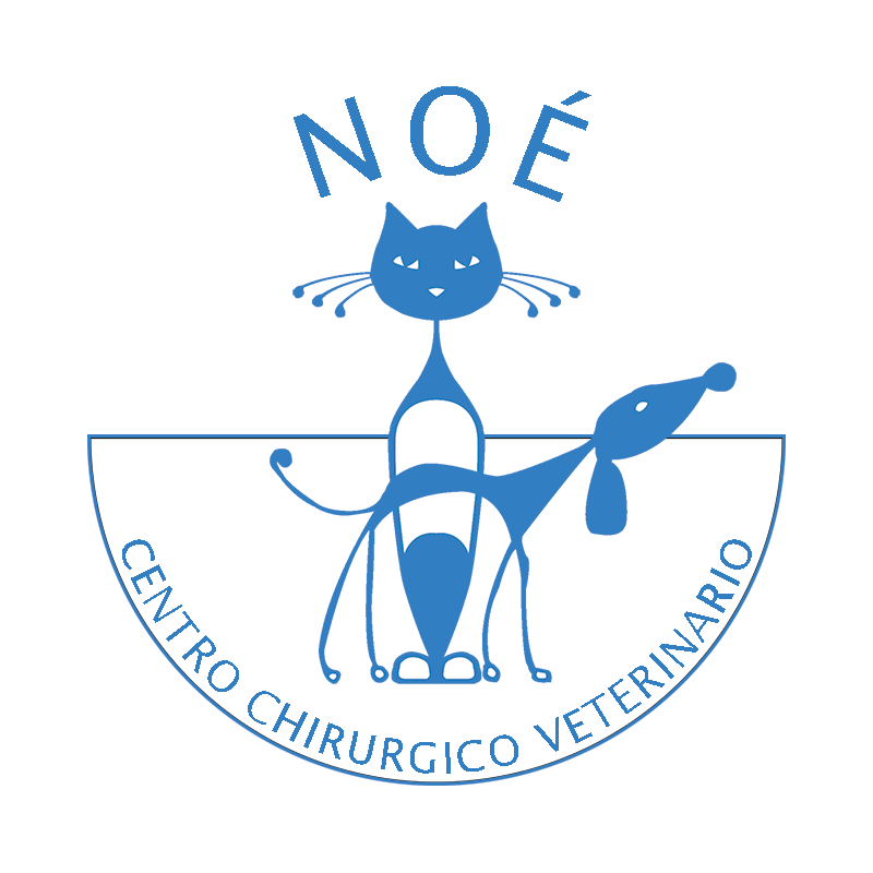 Centro Chirurgico Veterinario Noé