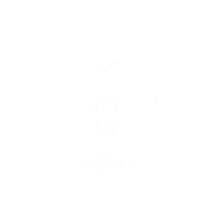 Logo Centro Chirurgico Veterinario Noé Bianco